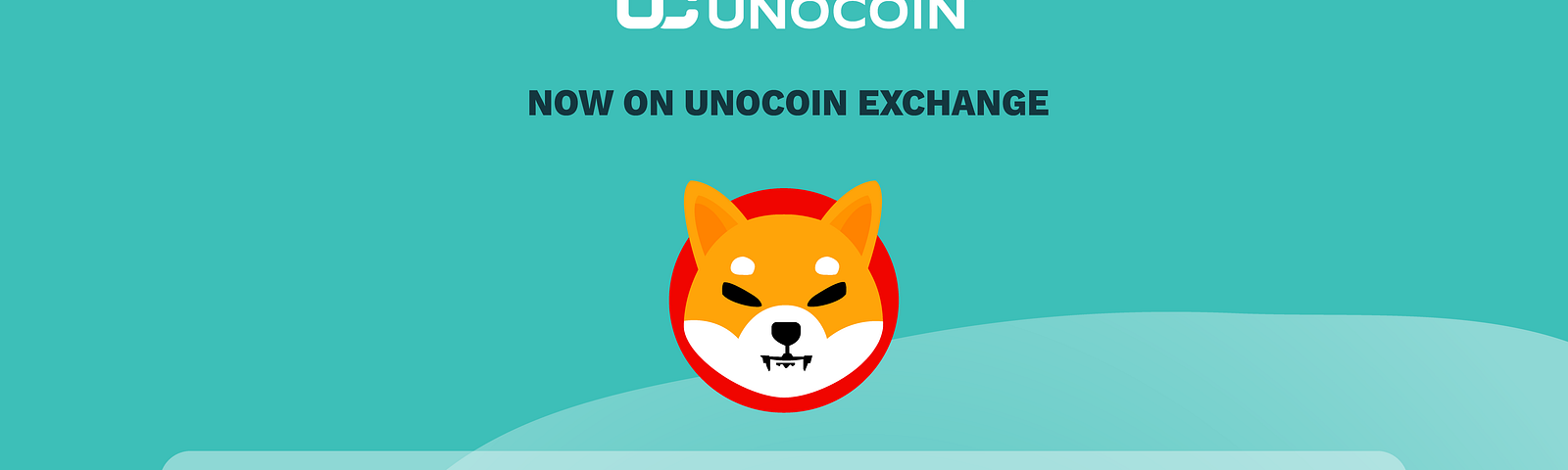 Shiba Inu: Crypto Meme coin that gained more than 14,000,000% in just 15 months.