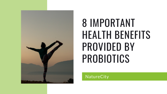 8 Important Health Benefits Provided by Probiotics — NatureCity