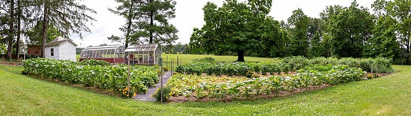 panoramic photo of a wide flower garden — anyone can make panorama photos