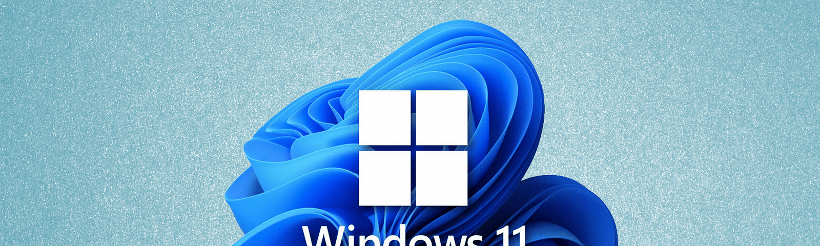 windows 11 logo