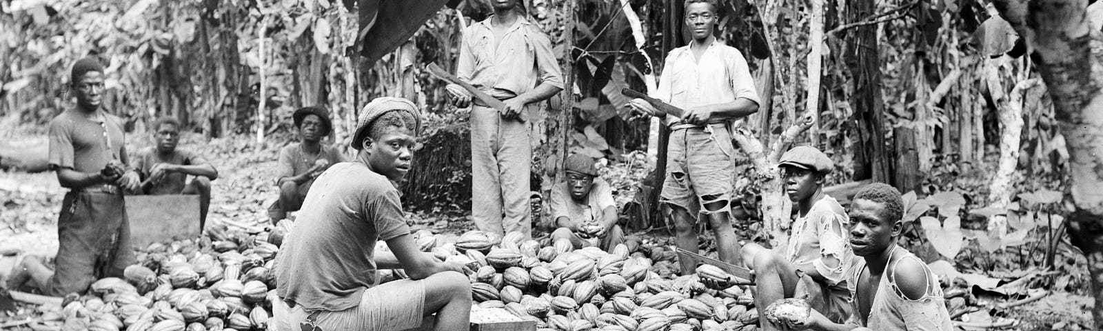 Black and white image of several black people among harvested cocoa pods, believed to be from the later 1800’s, at a cocoa bean plantation, location unknown.