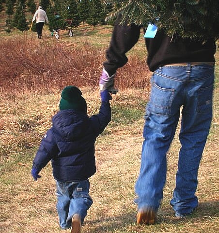 A young boy holds his father’s hand as they walk through a Christmas tree farm, cut pine slung over his father’s shoulder.