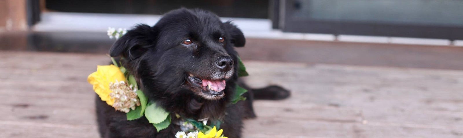 Jessie wears a lei made of yellow flowers and smiles while laying on a porch