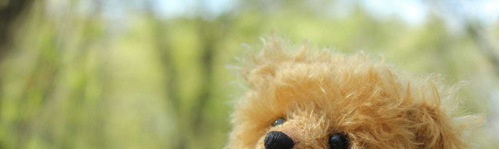 Brown teddy bear plush toy on green grass during daytime