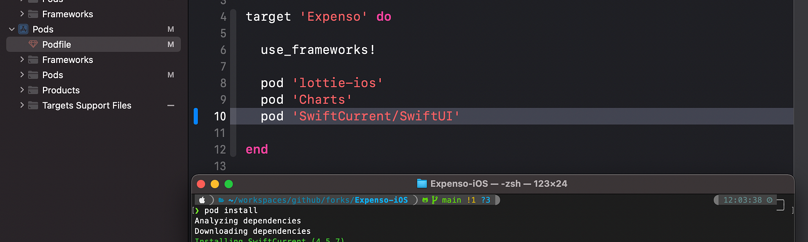 CocoaPods adding SwiftCurrent with a pod named SwiftCurrent slash SwiftUI.