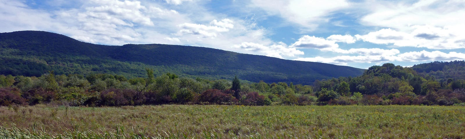 A grassland and mountainous landscape under a blue cloudy sky