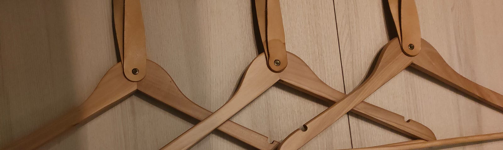 Cloths hangers are are hung, though nothing is hung on them. There is false wood tapestry in the background behind the hangers.