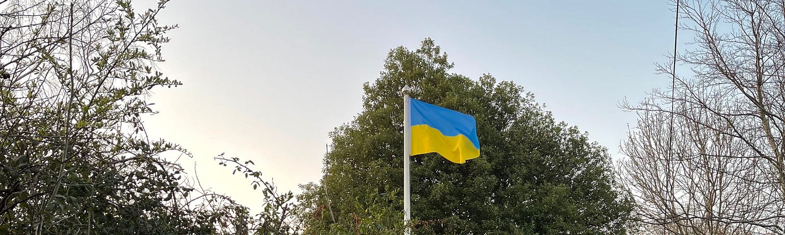 Ukrainian flag flying above Hospital Lane, Portchester, UK