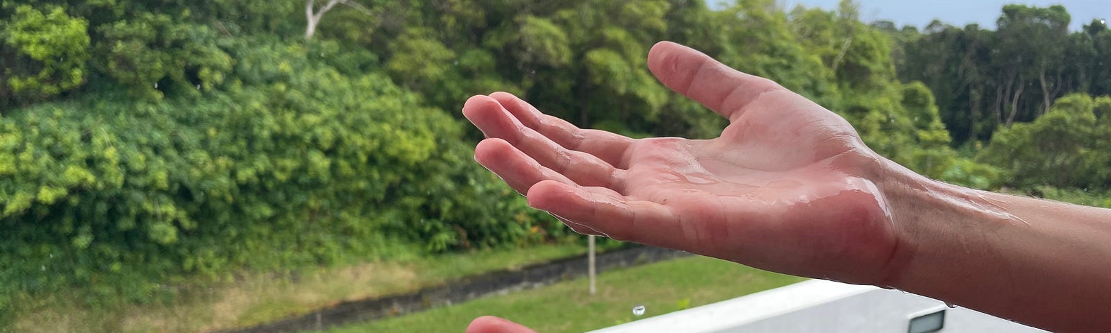 hands faced up catching rain drops. nature setting in background