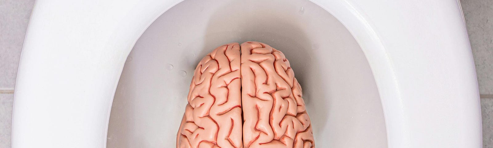 A brain sitting in a toilet bowl.