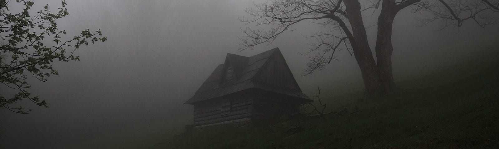 A foggy early evening scene. A barn and a tree in the background. Creepy feel.