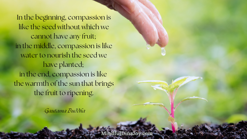 Buddha quote on self compassion