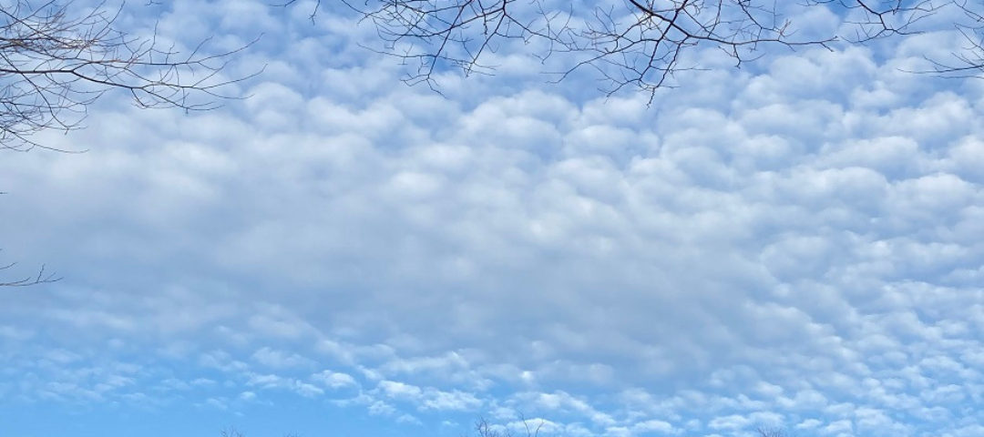 Photo of clouds that look like a herd of sheep, perfect for the Little Prince.