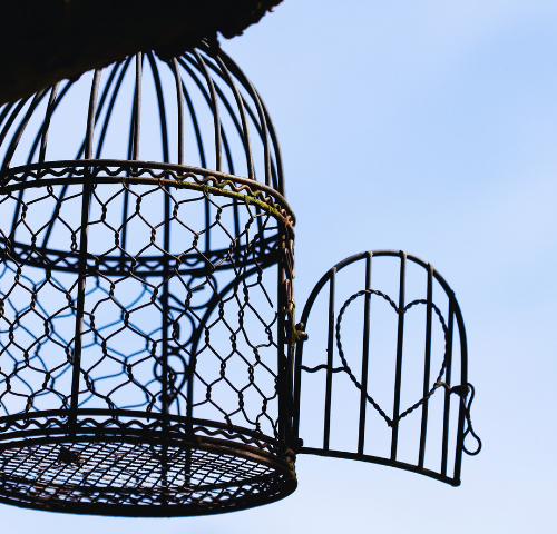 An open birdcage leading to a clear blue sky.