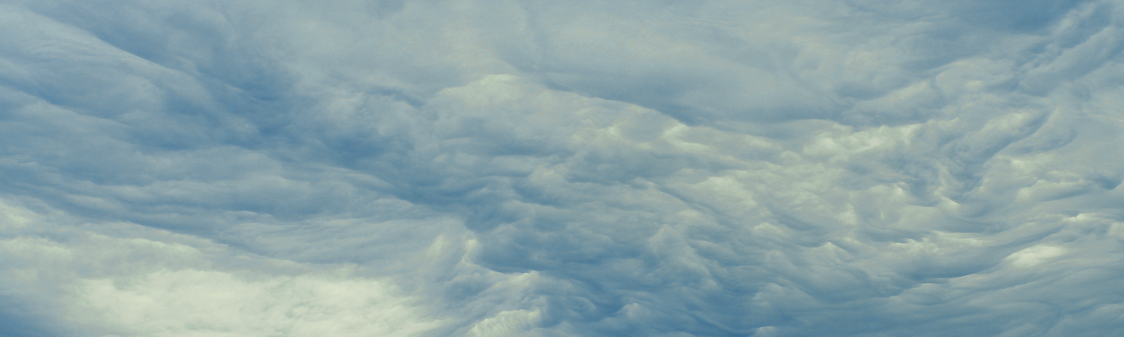 Medium blueand yellow grey, stormy clouds with the tips of leafless trees in the foreground.