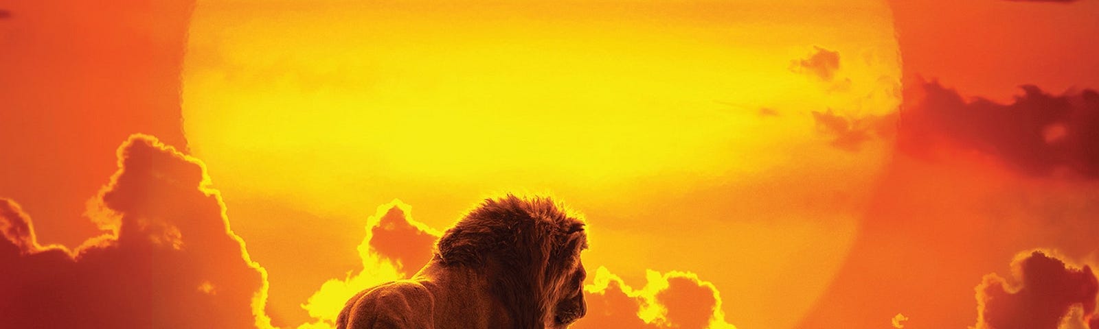 The Lion King’. Dir: Jon Favreau. Photograph: Disney Enterprises