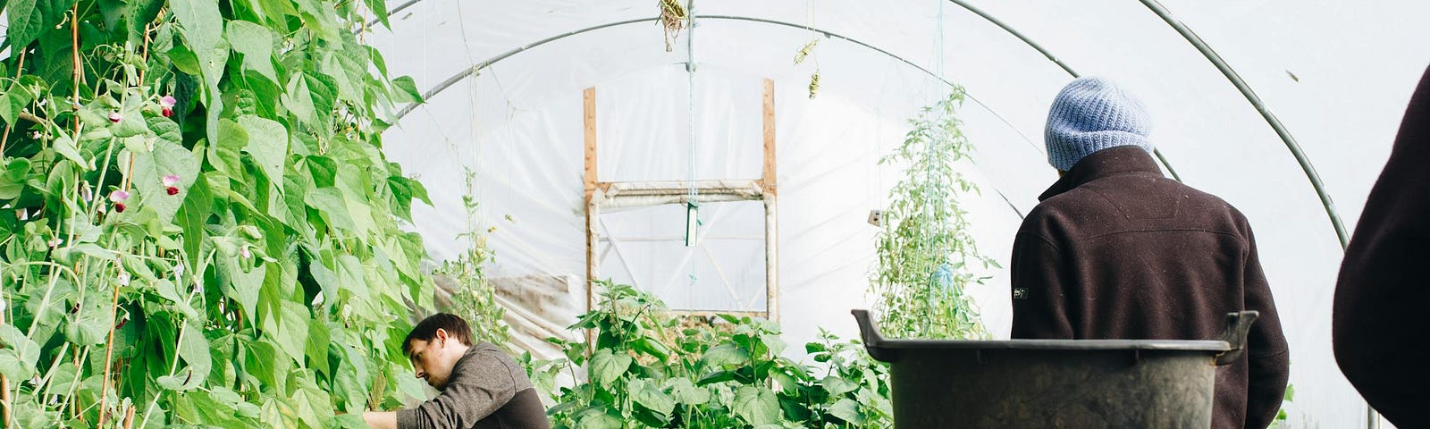 Man Wearing Black Jacket Inside the Greenhouse