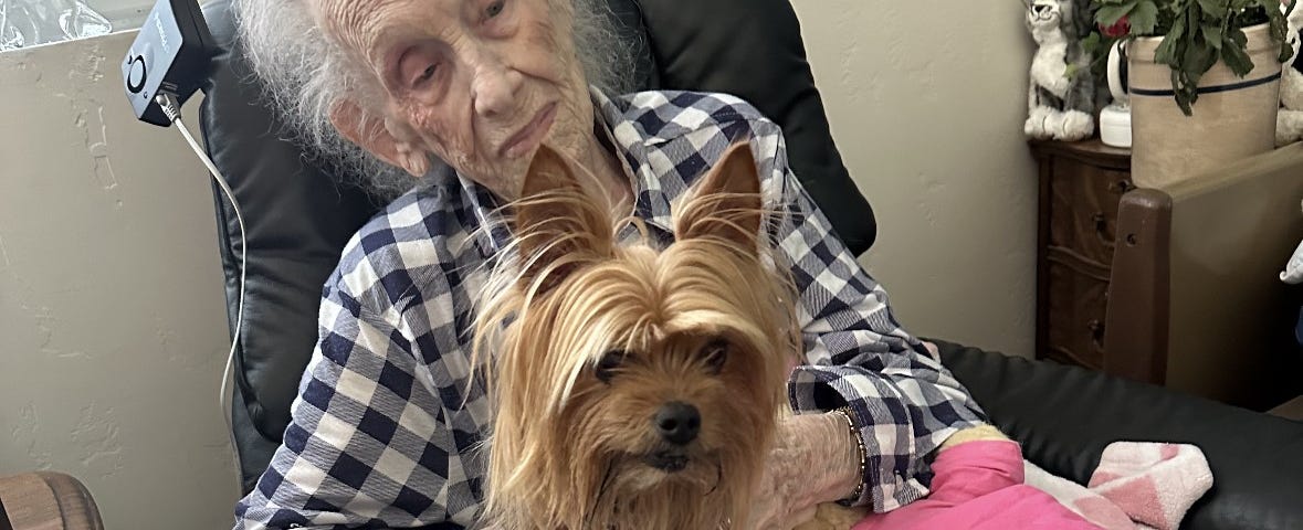 A woman in her 90’s sits in a recliner with a Yorkshire Terrier and a teddy bear on her lap.