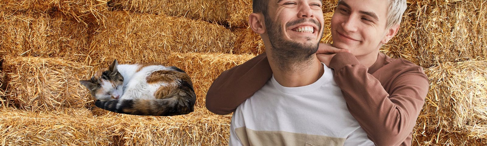 Two young men, obviously lovers, one dark haried, one blonde. the blonde hugs his partner from being. A calico cat sleeps in the hay behind them.