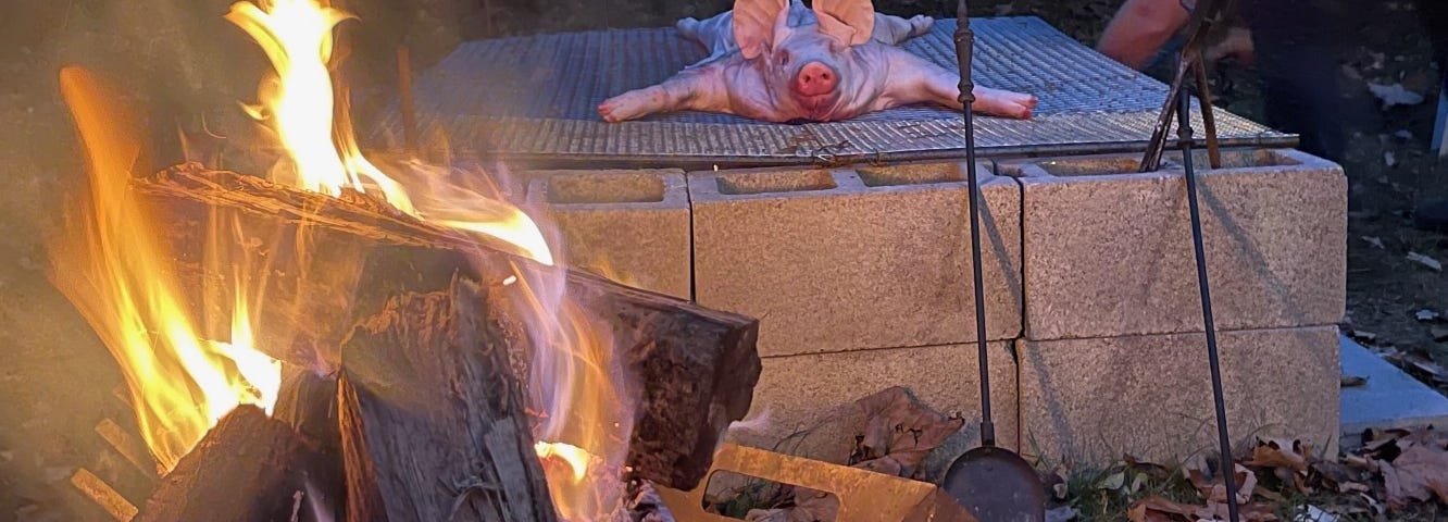 Pig roasting on an open fire grill