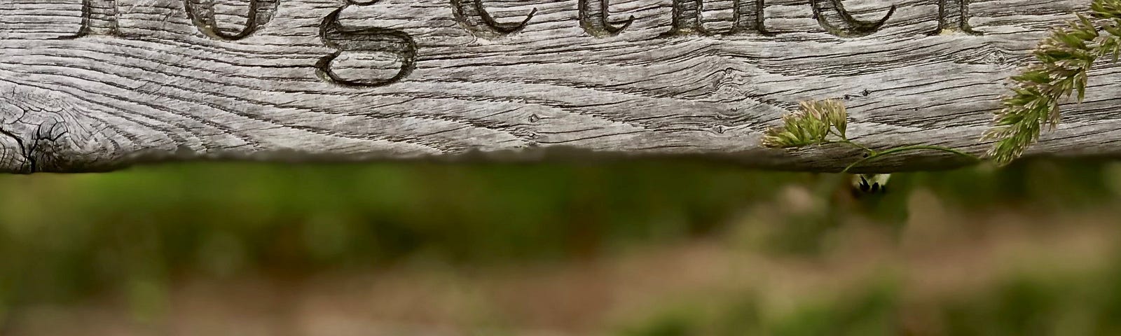 A wooden fence in front of a field with the word “together” etched into the surface.