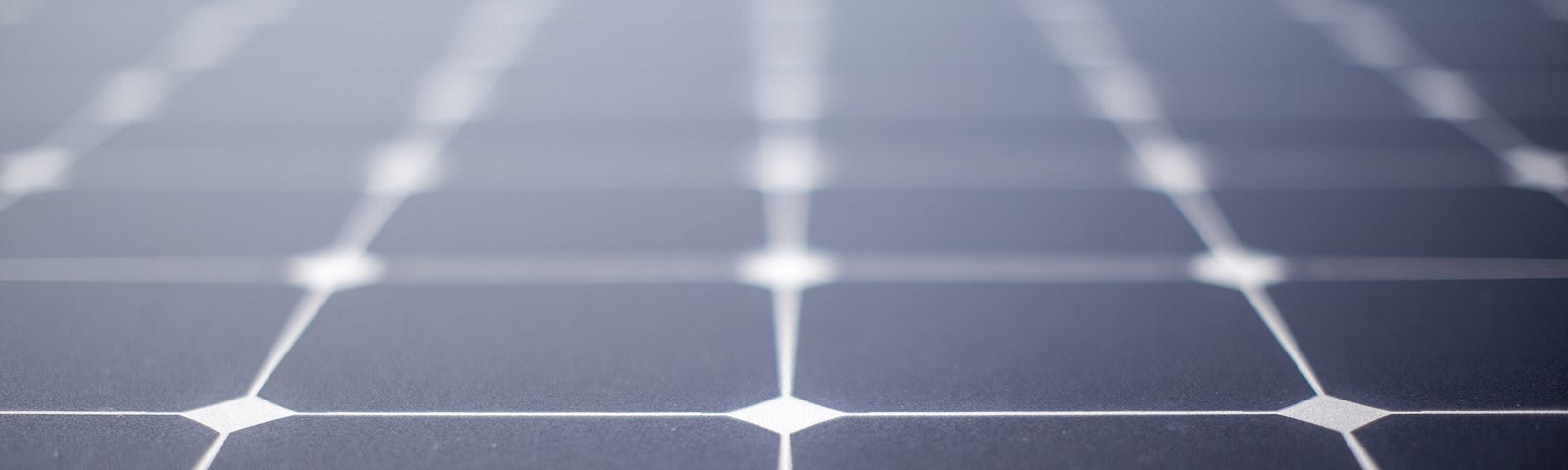 Cells on a solar panel focus on the way forward