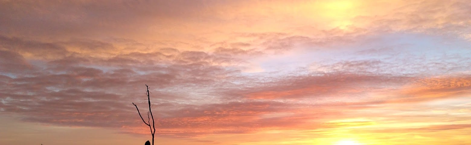 A figure holding a tall stick silhouetted against a dramatic sunset sky