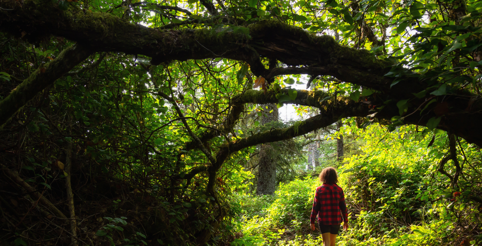 Young woman walking into the woods