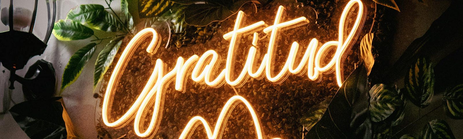 The word Gratitud in neon lights over plants.