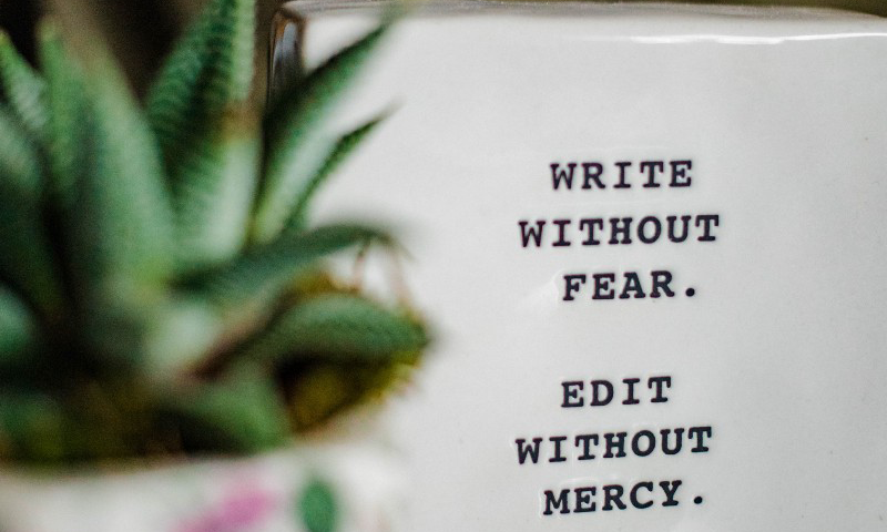 The words ‘Write without fear. Edit without mercy.’ on a white box, behind a plant pot.