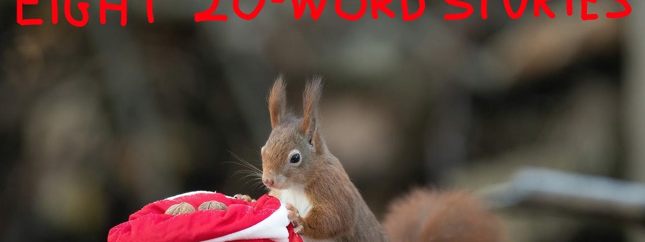 A squirrel checking out a red Christmas style bag full of nuts. ‘Eight 20-Word Stories’ is written on top.