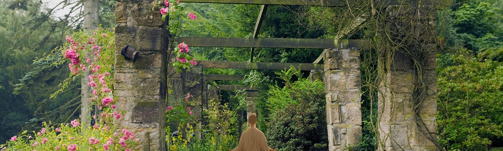 A person sits in meditation down a pathway accented by flowered archways and stepping stones leading us in.