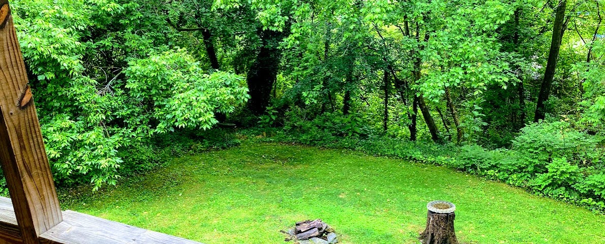 The view from my porch, very green, wet with rain.