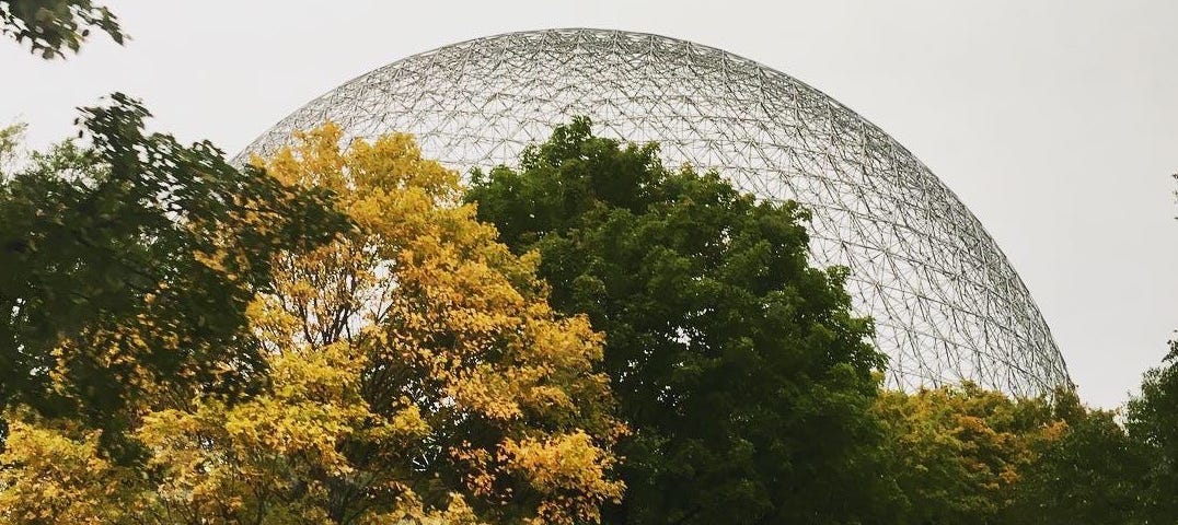 large white geodesic dome with trees in front of it, blocking most of the dome.