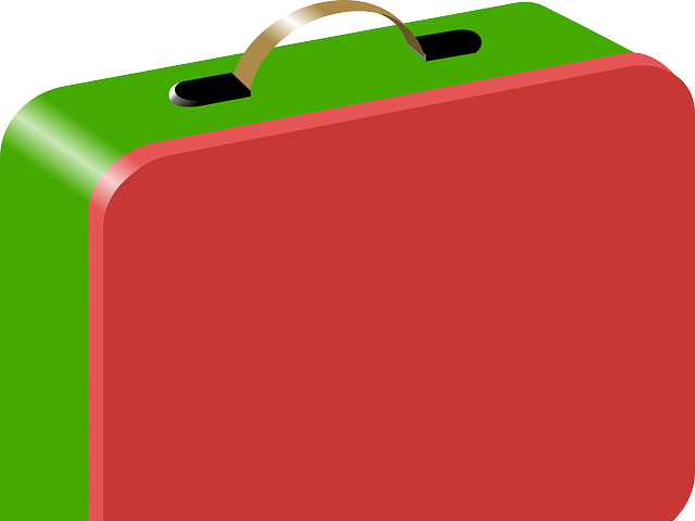 A green and red cartoon drawing of a lunchbox