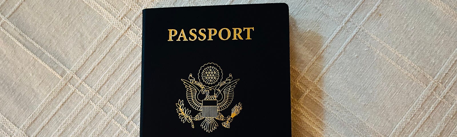Photo of my US passport cover.