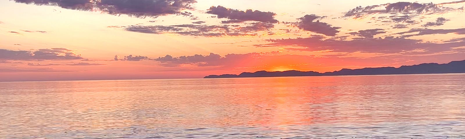 A bird flying over a red and purple sunrise at a beach in Loreto, Mexico