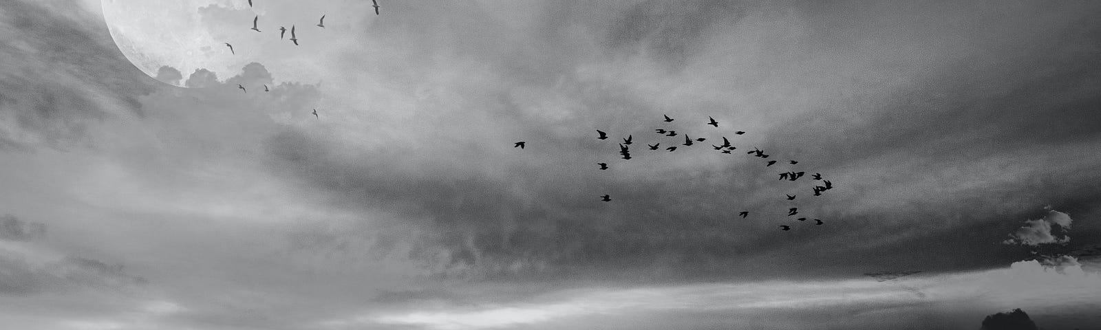 Black and white image looking out to ocean, a small island and large moon with silhouettes of birds.