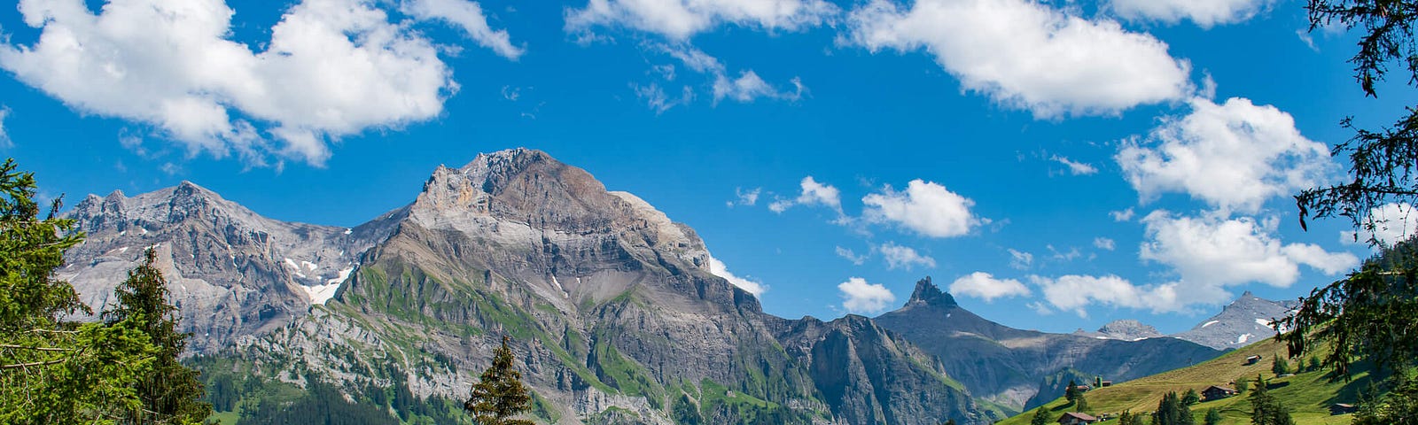 Swiss mountain scene, with peaks in the background and green hills and trees in the foreground. We needn’t be billionaires to appreciate this landscape