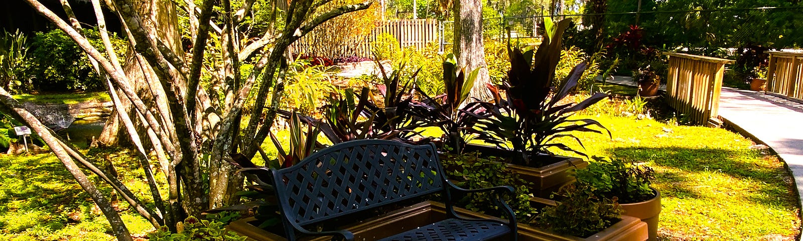 A park bench at Eureka Springs in Tampa, Florida.