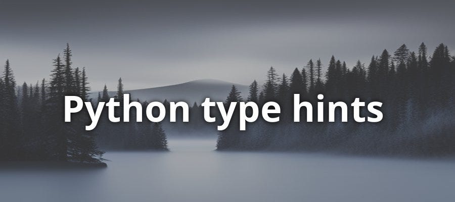 Python type hints