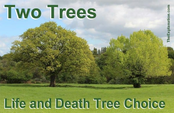 Two trees in the Garden of Eden. One tree represents Life and the other, Death. Making a choice is a given.