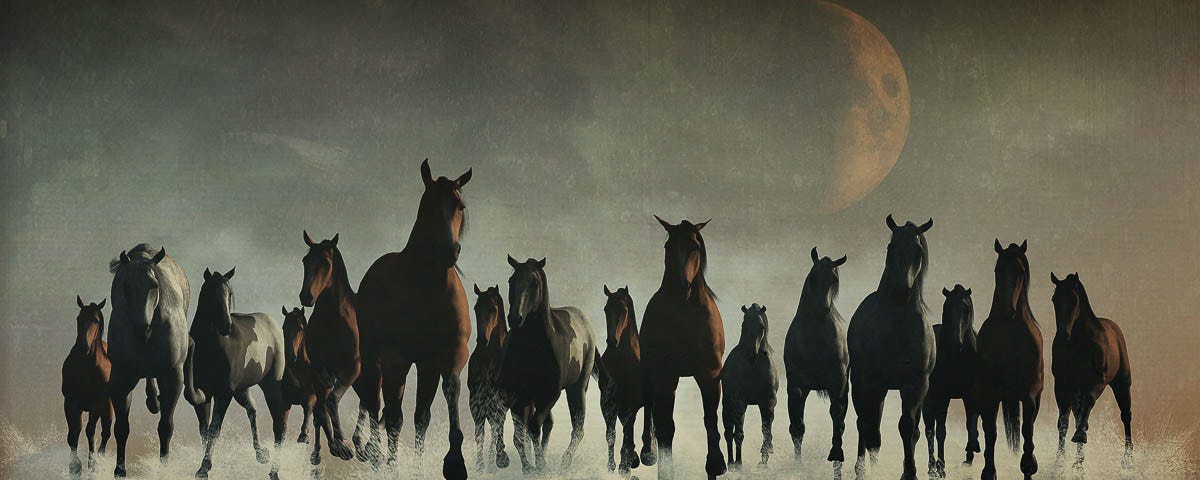 Stampede of Horses