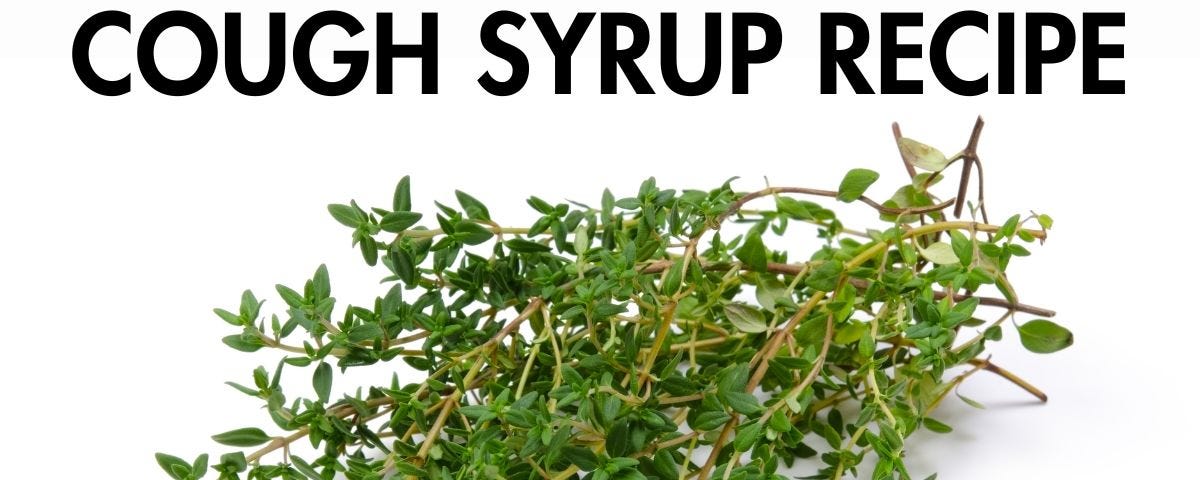 Natural Thyme Cough Syrup Recipe Simple to Make