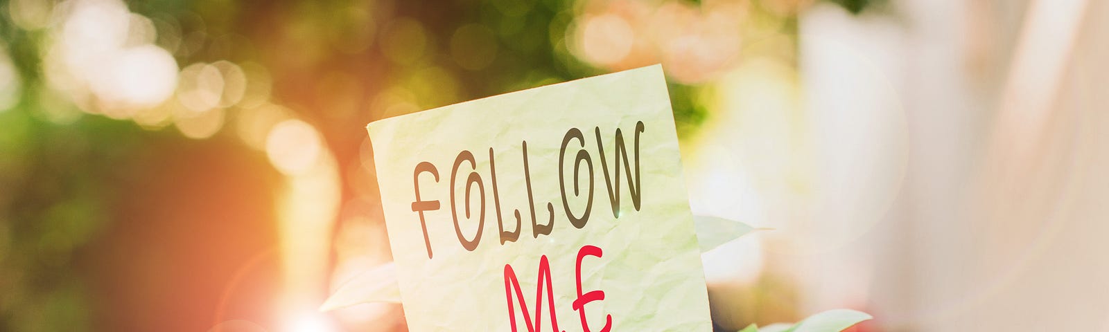 Text sign showing Follow Me. Business photo text Inviting a group to obey your preferred leadership, Plain empty paper attached to a stick and placed in the green leafy plants