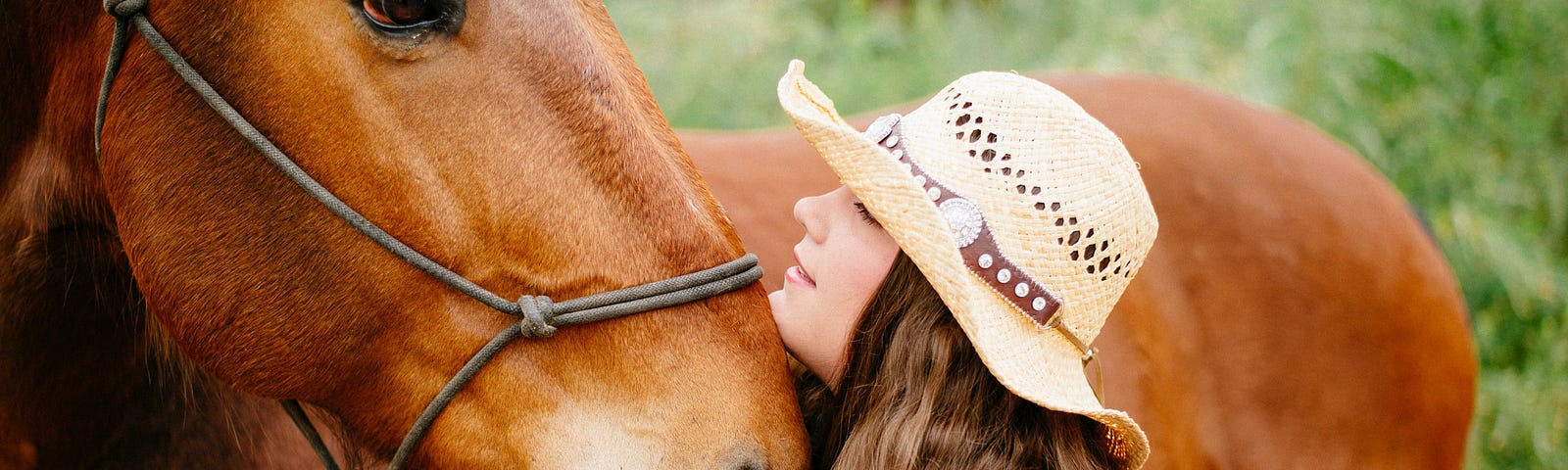 Image of a chestnut horse interacting with a woman