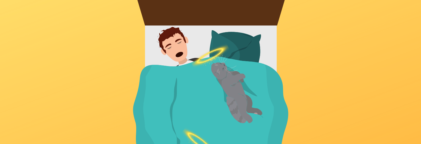 Graphic image of man sleeping on bed with two curled up cats.