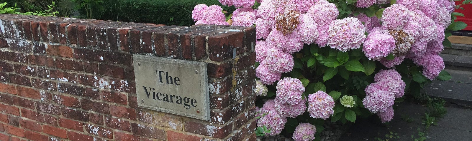 photo of pink blooms in a front garden