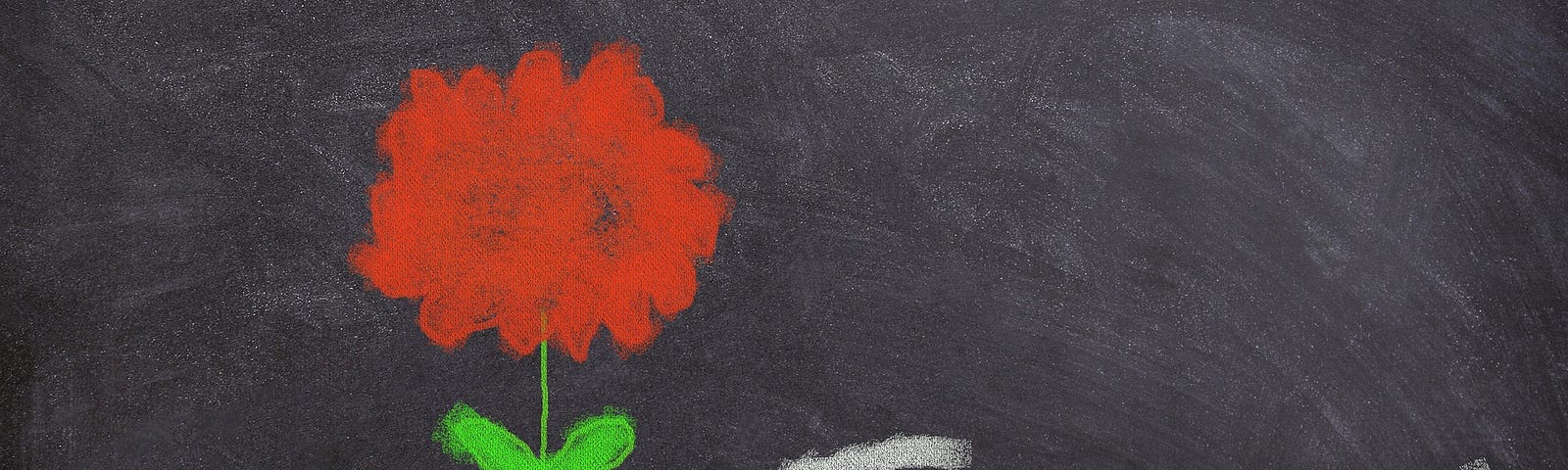 Written, in light grey, “sorry” and painted a red flower on a blackboard