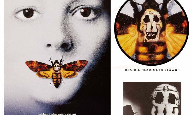 Death’s Head in cinema and arts